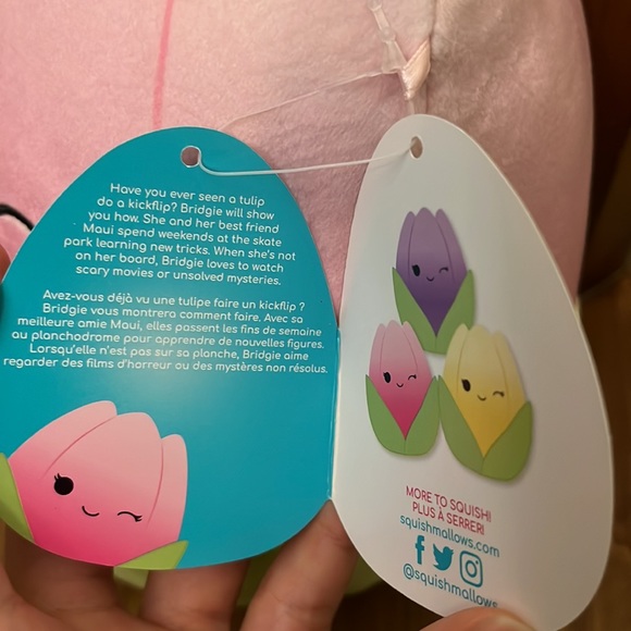 8” Bridgie Squishmallows - Picture 4 of 4